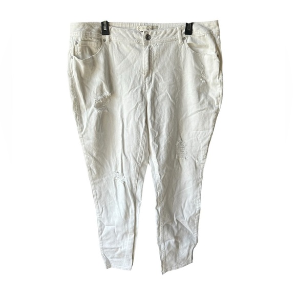 Cato Established 1946 Women’s Distressed Plus Size Jeans - Picture 1 of 6